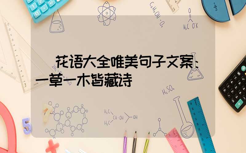  花语大全唯美句子文案：一草一木皆藏诗